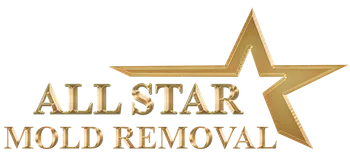 All Star Mold Removal Chicago