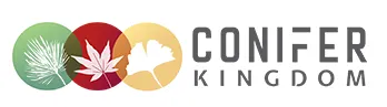 Conifer Kingdom