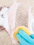 Carpet Cleaning Wynnum