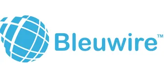 Bleuwire IT Services