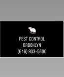 Pest Control Brooklyn