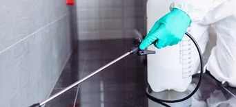 Pest Control Melbourne