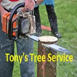 Tony's Tree Service
