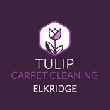 Tulip Carpet Cleaning Elkridge