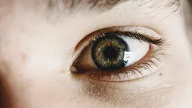 Lash Lift Brooklyn