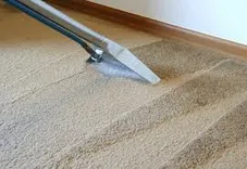 Carpet Cleaning Braddon