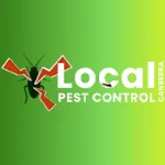 Wasp Removal Canberra
