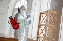 Mold Experts of San Diego