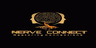 Nerve Connect