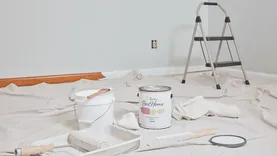 Elite House Painters Modesto