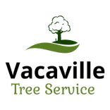 Vacaville Tree Service