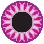 B & B DESIGN AND SHADES CORPORATION
