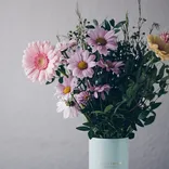 May Flowers