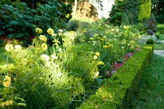 Landscaping Blossom