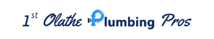 1st Olathe Plumbing Pros