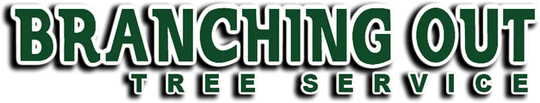 Tree Service & Removal Long Beach