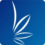 Pennsylvania onlinemedicalcard