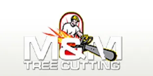 Snow Removal Service