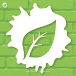 Eco Mold Testing