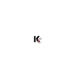 KEDIA CORPORATION - FLEX PVC