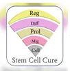 stemcellcure