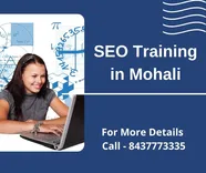 SEO Training in Mohali