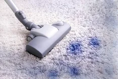 Professional Carpet Cleaning North Lakes