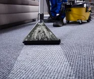 Pasco Carpet Cleaning