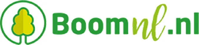 BoomNL