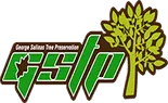 Tree Service Pro Sacramento