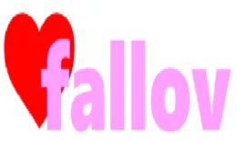 Fallov Internet (OPC) Private Limited