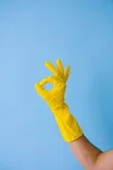 Albany Cleaning Company