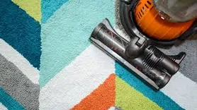 Kangaroo Carpet Cleaning Brisbane