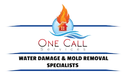 One call services water damage experts