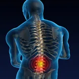 Peak Performance Chiropractic
