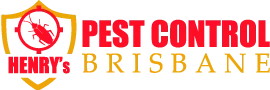 Pest Control Auchenflower