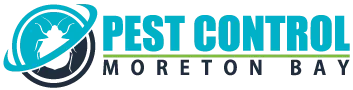 Cockroach Control Moreton Bay