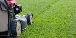 Elevated Garden Services