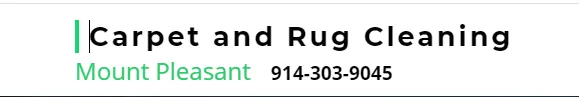 Rug & Carpet Cleaning Service Mount Pleasant