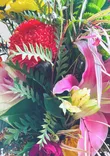 Florist Ashwood