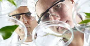 Bioline Global Australia