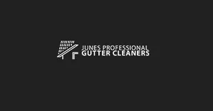 Junes Professional Gutter Cleaners & Roof Repair