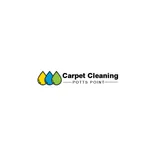Carpet Cleaning Potts Point