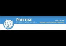 Prestige landscape 