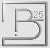 B25 Private Investigation