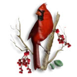 Cardinal Hospice