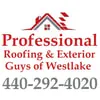 Professional Roofing & Exterior Guys of Westlake