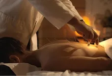 Balance Within Integrative Acupuncture