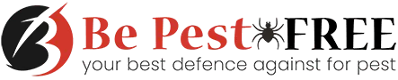 Beetle Control Adelaide