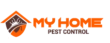 Silverfish Control Canberra